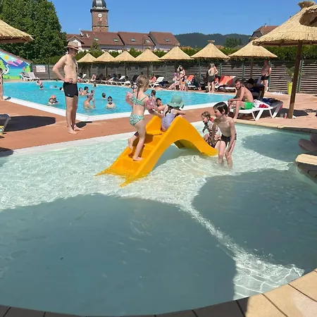Dağ evi 4 Etoiles - Piscine - Ccbg00h Celles-sur-Plaine